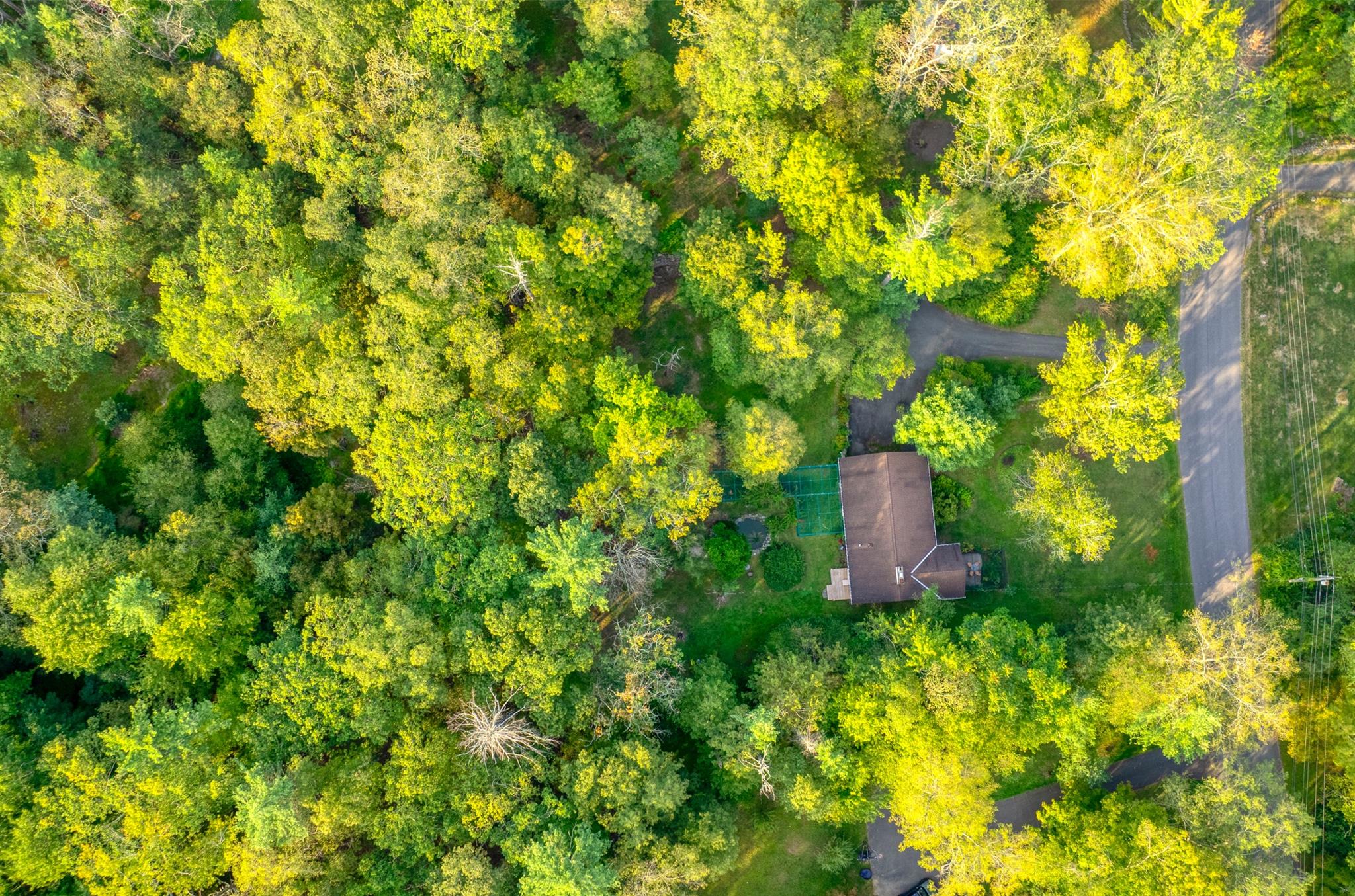 15 Forestwood Drive, Woodstock, New York image 46