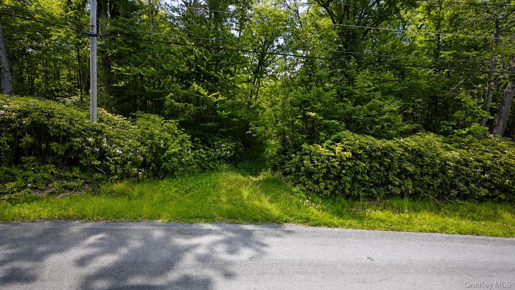 Taylor Road