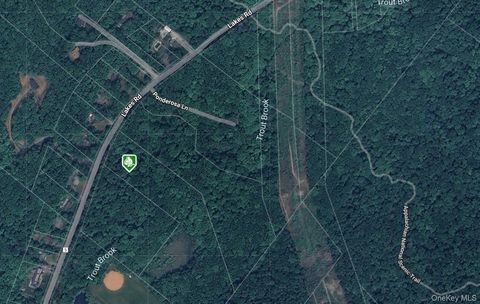 Vacant Land For Sale - 1181 Lakes Road<br/> Monroe, NY 10950