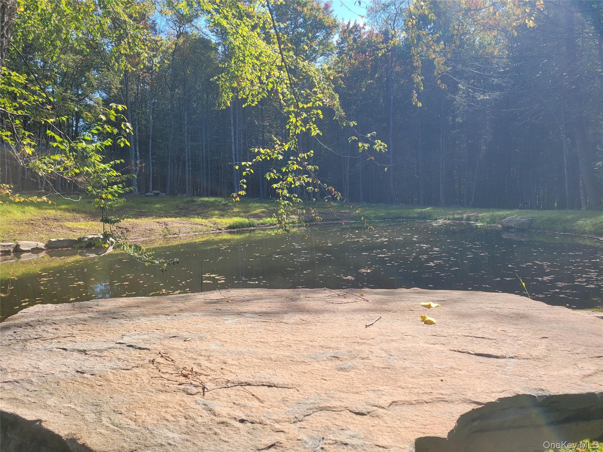 361 Ahrens Road