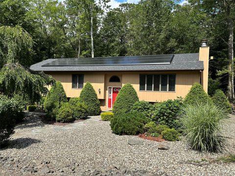 Homes For Sale - 60 Manchester Road<br/> Rock Hill, NY 12775