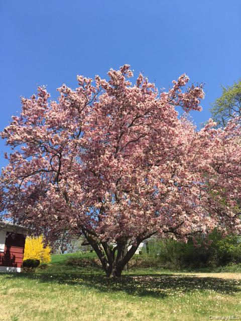 220 Wilbur Boulevard