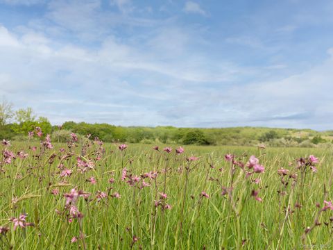 00 Beechwoods Road Callicoon NY 12723