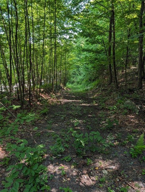 Vacant Land For Sale - Us Highway Route 6<br/> Port Jervis, NY 12771