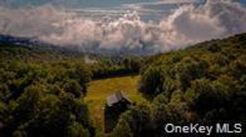 295 Emerald Heights Road Downsville NY 13752