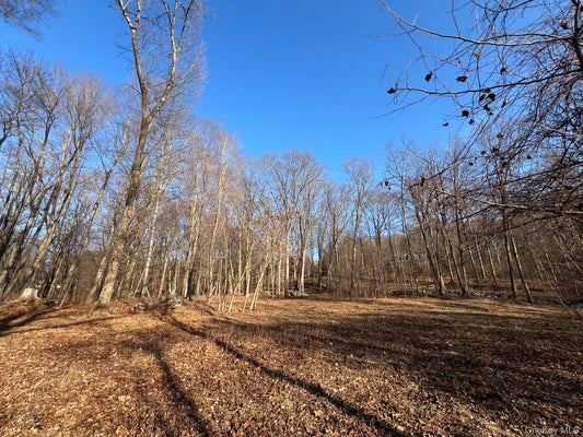 52 JUSTINS WAY, GARRISON, NY 10524 - Image be65ceda45b70436d0212ae5e4e9aa3d/202878186