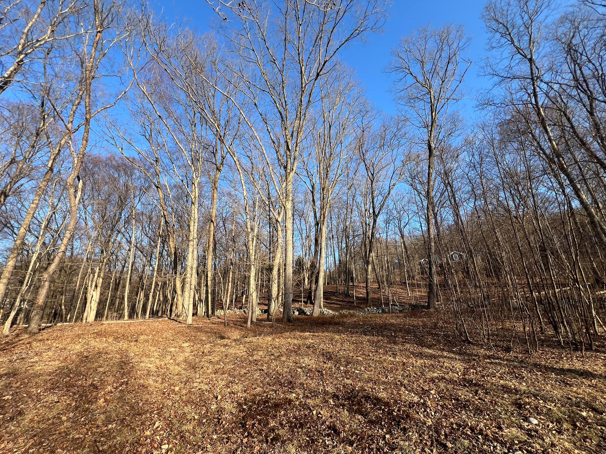 52 Justins Way, Garrison, New York image 2