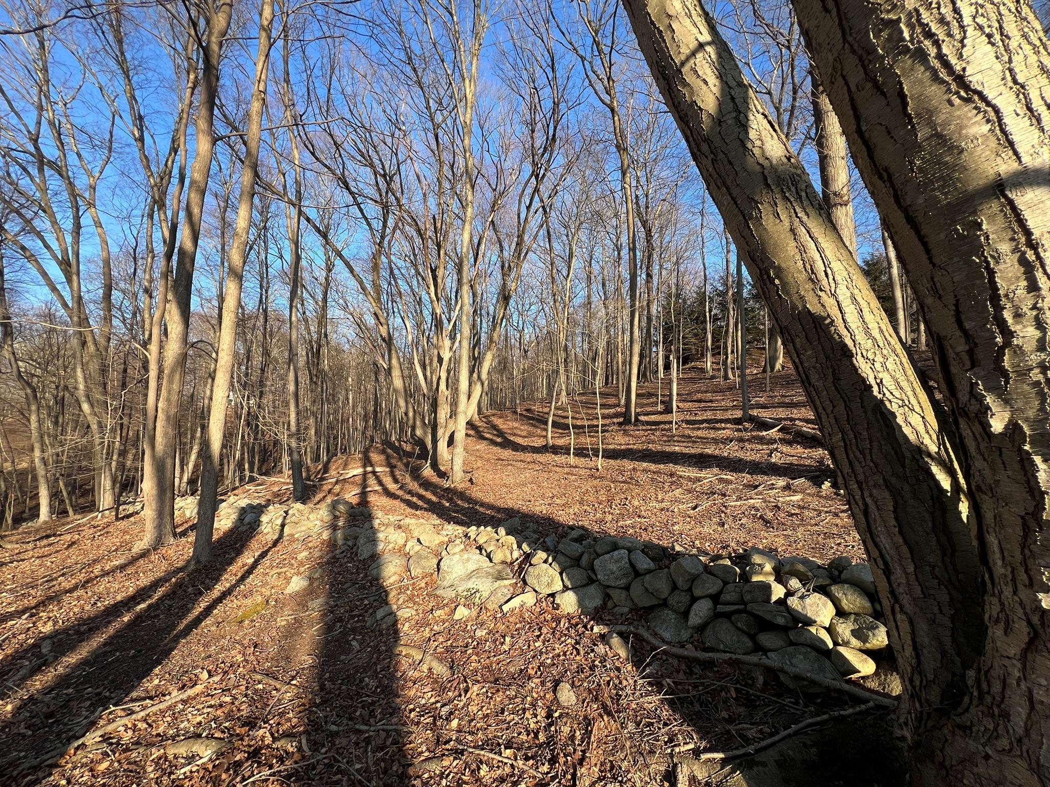 52 Justins Way, Garrison, New York image 3