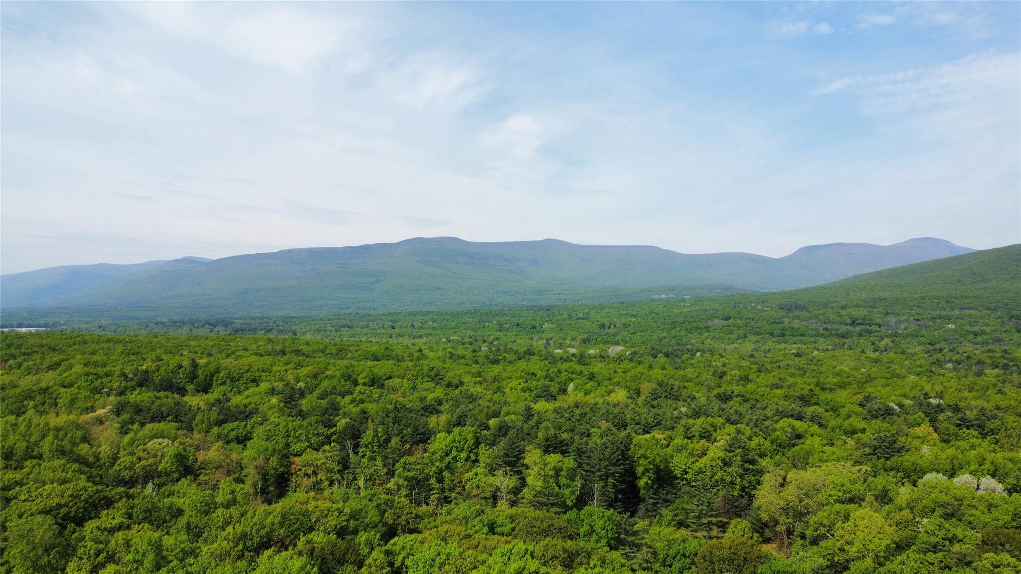 382 Cairo Junction Cairo Junction Road, Catskill, New York image 26