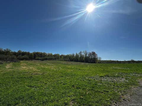 Vacant Land For Sale - Route 32 S<br/> Ulster County, Modena, NY 12548
