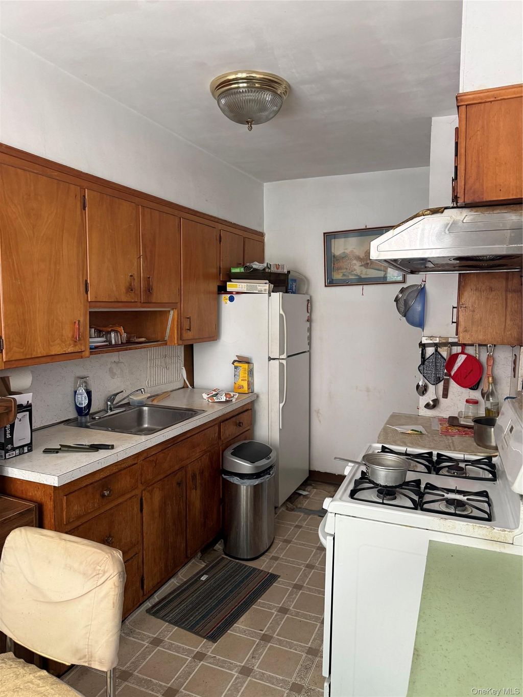 Photo of 13438 Blossom Avenue, Flushing, NY 11355 (MLS # 998239)