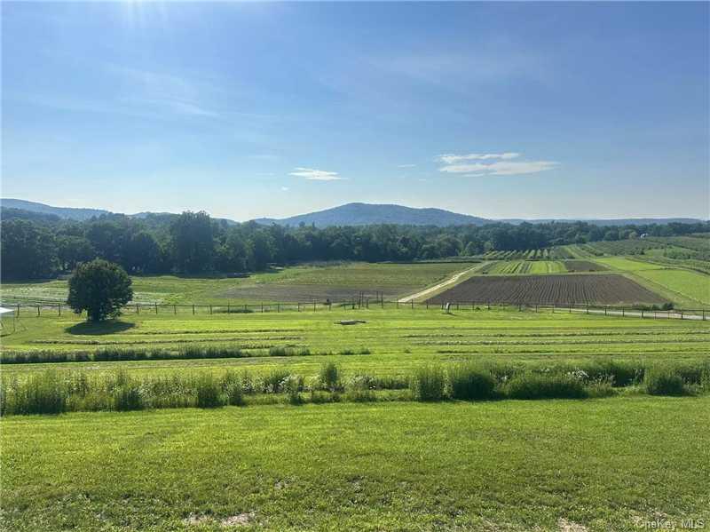 869 Old Country Road