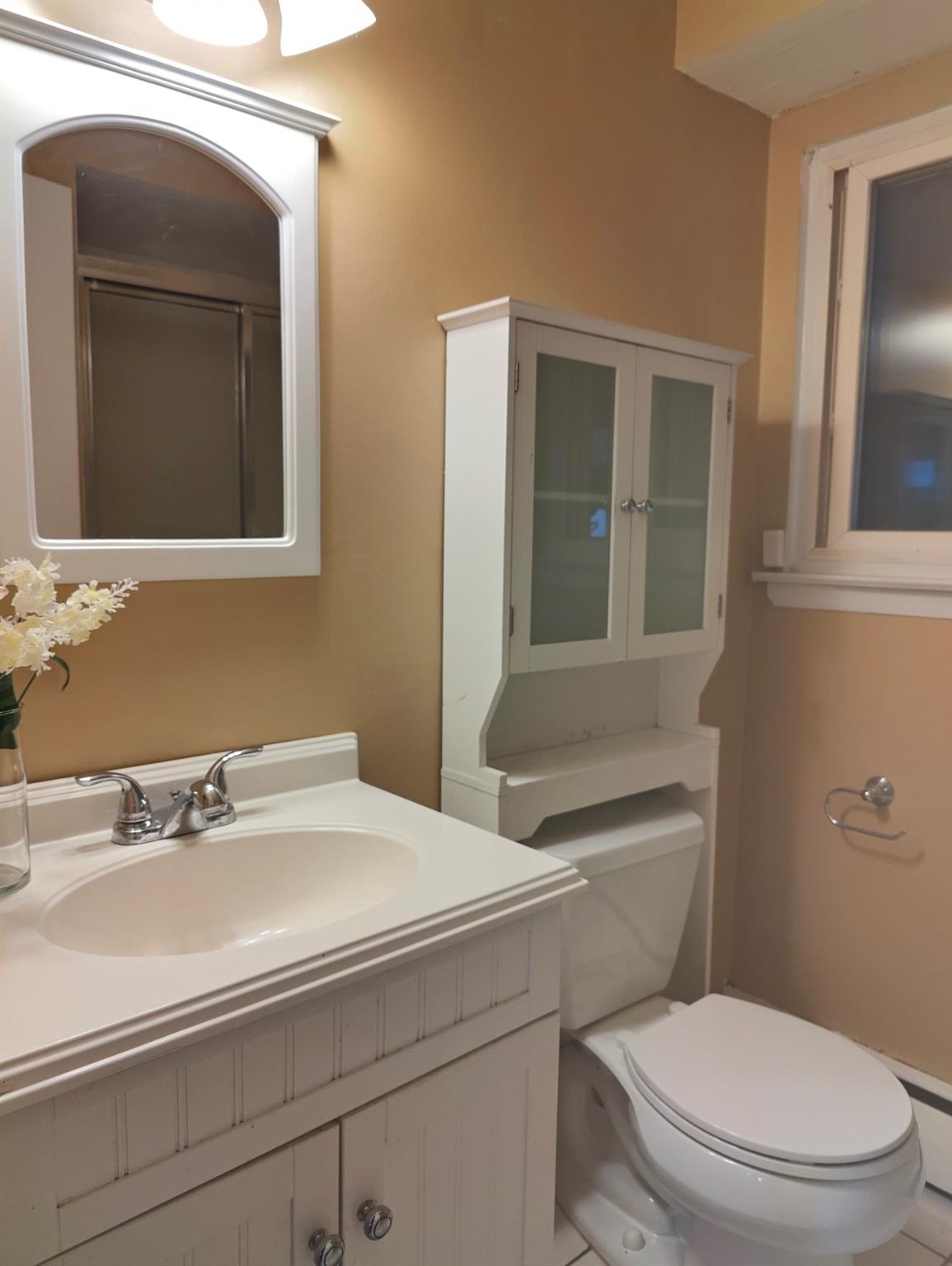 18 Scherer Street, Bethpage, New York image 26