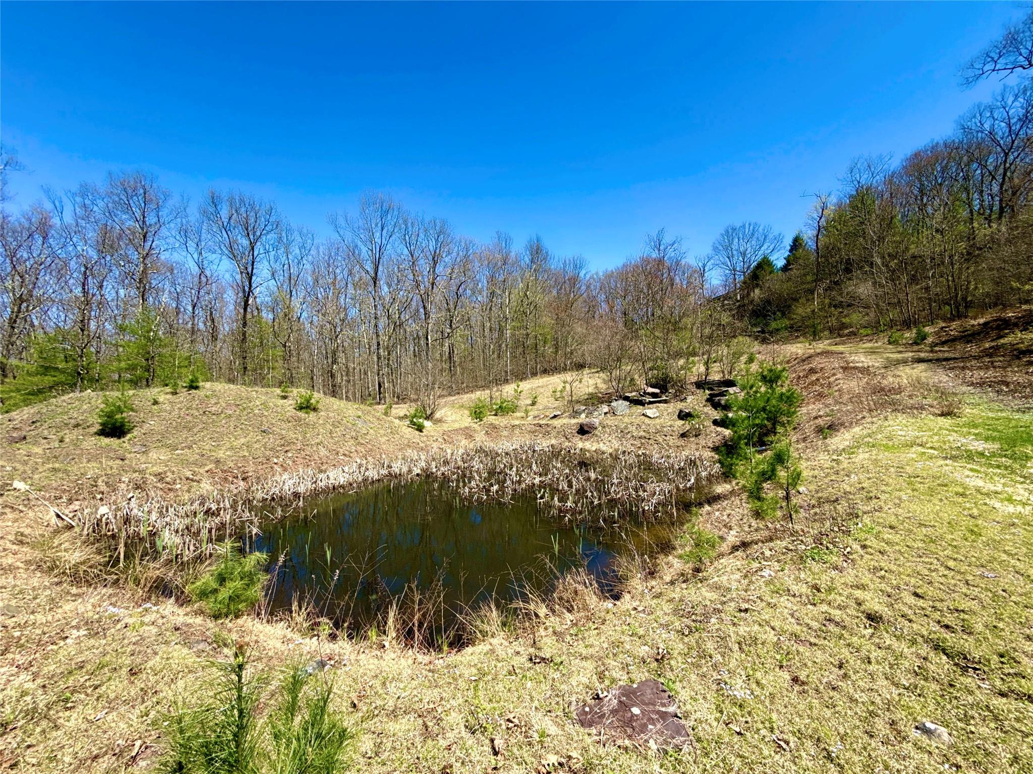 7737 State Route 97, Narrowsburg, New York image 32
