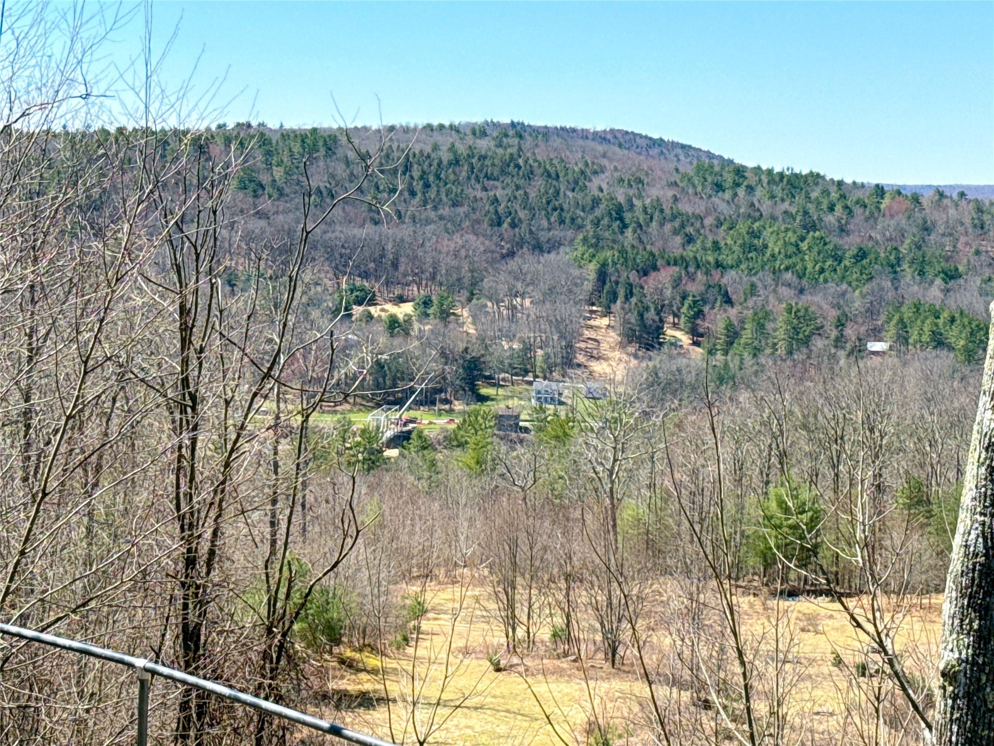 7737 State Route 97, Narrowsburg, New York image 27