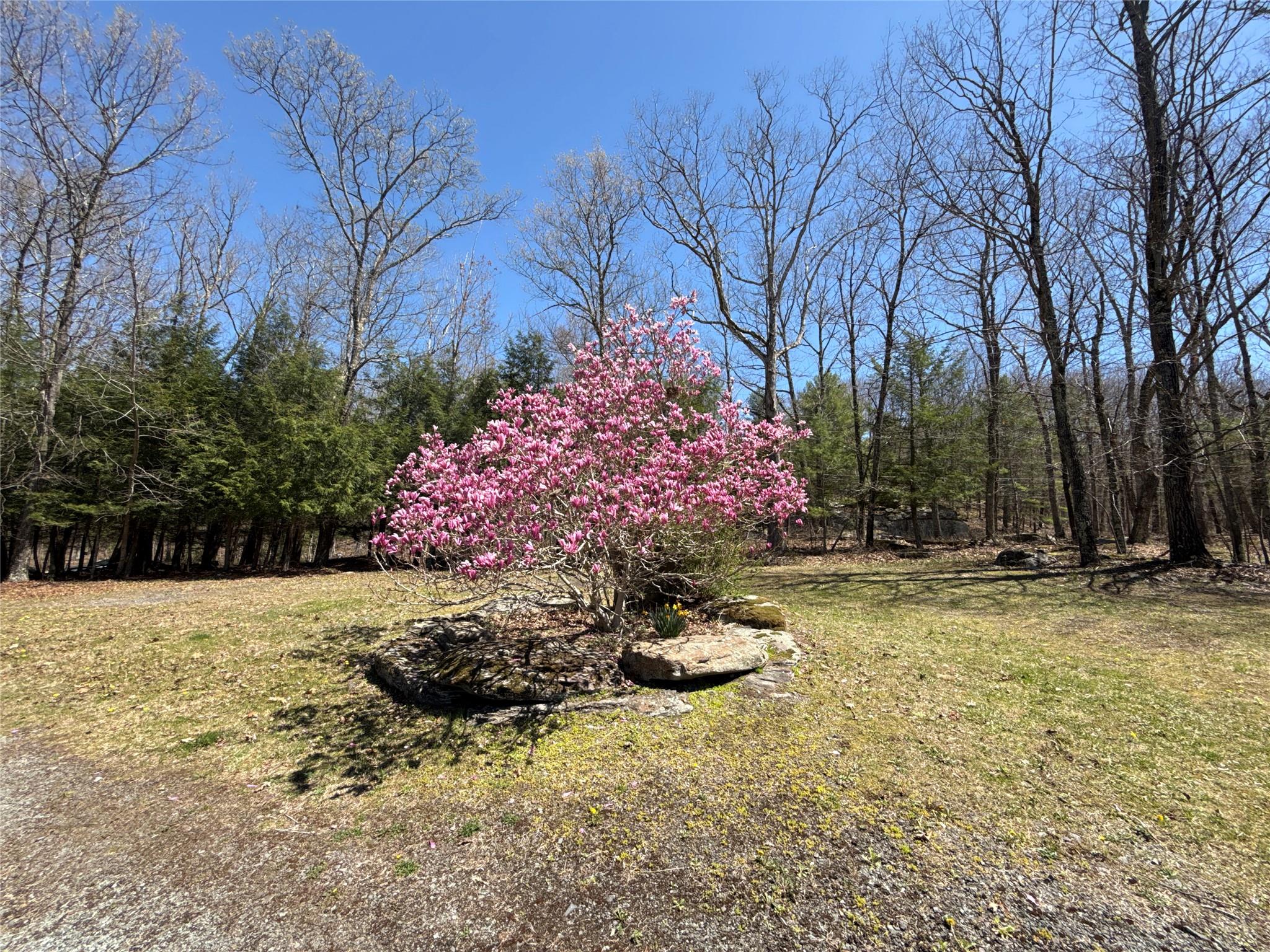 7737 State Route 97, Narrowsburg, New York image 38