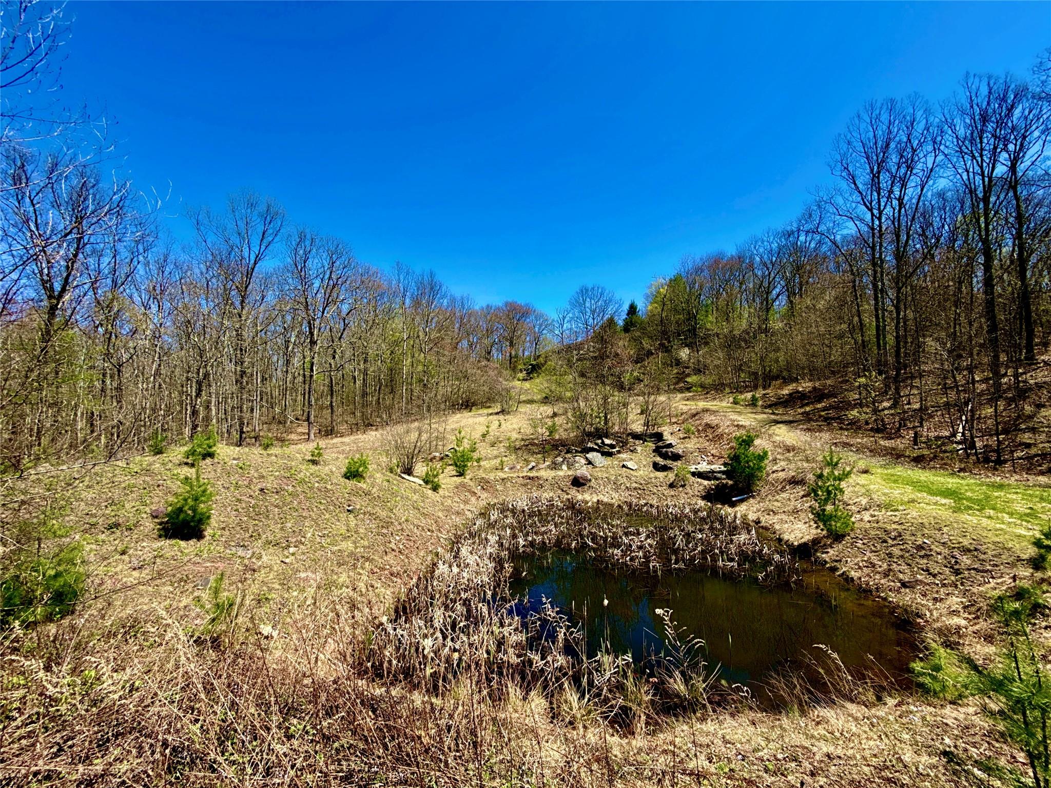 7737 State Route 97, Narrowsburg, New York image 33