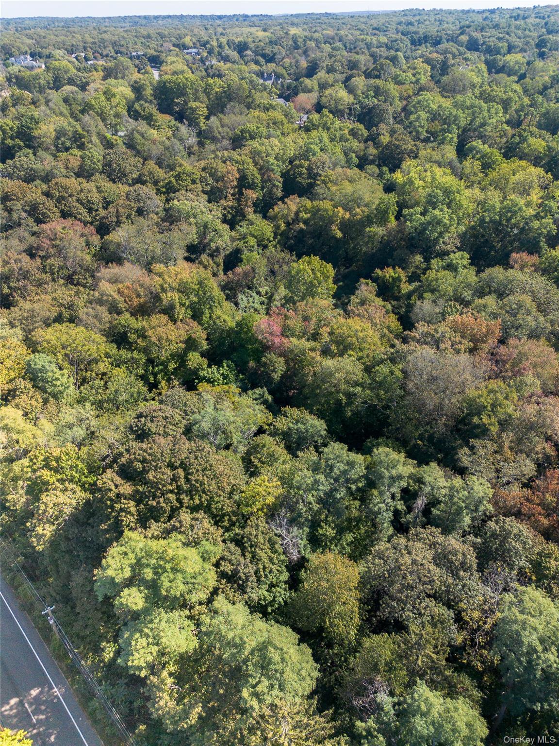 5694 Northern Boulevard