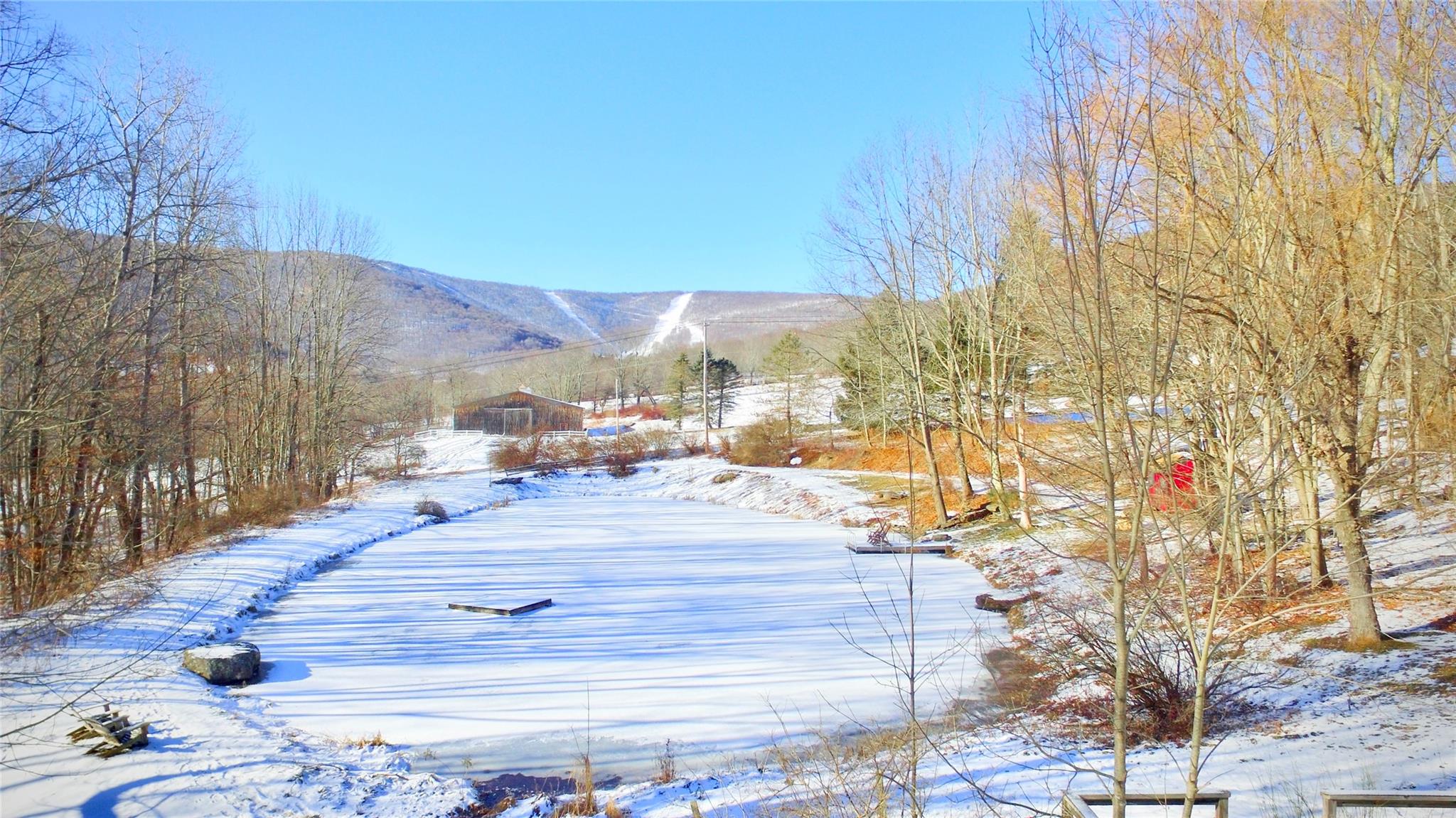 1949 Upper Meeker Hollow Road Rd, Denver, New York image 13