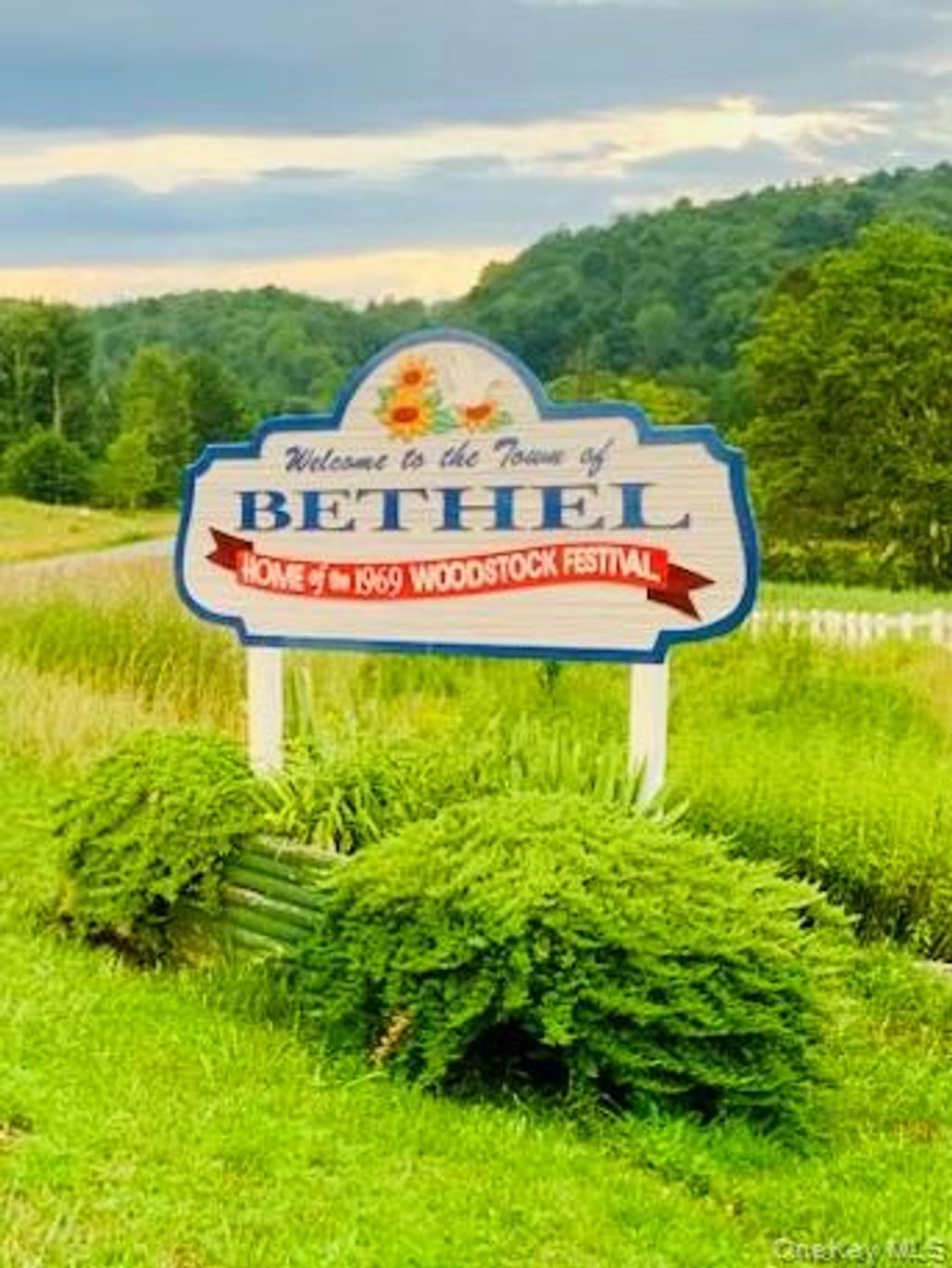 Photo of 3 Burr Road, Cochecton, NY 12726 (MLS # 959406)