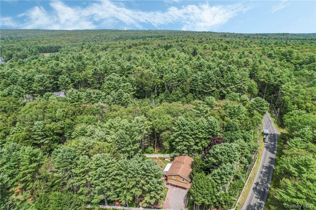 Photo of 2 Hollowaty Kosak Road, Glen Spey, NY 12737 (MLS # 982559)