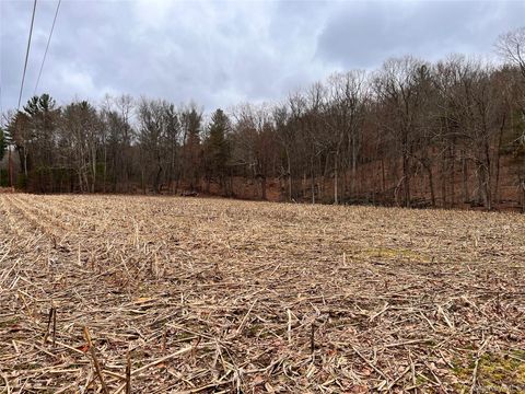 Vacant Land For Sale - 00 State Route 97 Route<br/> Cochecton, NY 12726