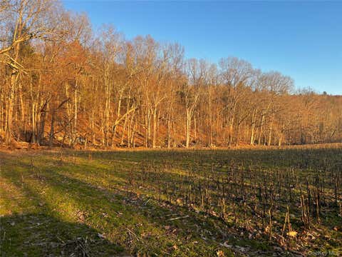 Vacant Land For Sale - 00 State Route 97 Route<br/> Cochecton, NY 12726