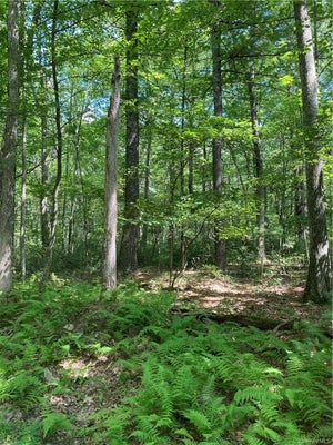 ALLEN RD, WURTSBORO, NY 12790 - Image c004e7aa831d3c63cd9b2e8dc25949a0/1907671754