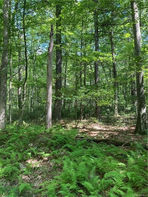 Vacant Land For Sale - Allen Road<br/> Wurtsboro, NY 12790