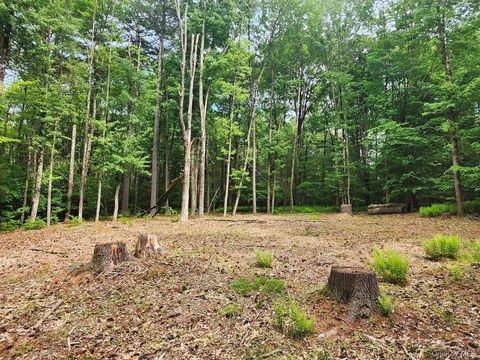 106 Starlight Drive Monticello NY 12701