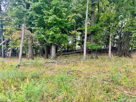 Vacant Land For Sale - 92-94 Anthony Street<br/> Middletown, NY 10940