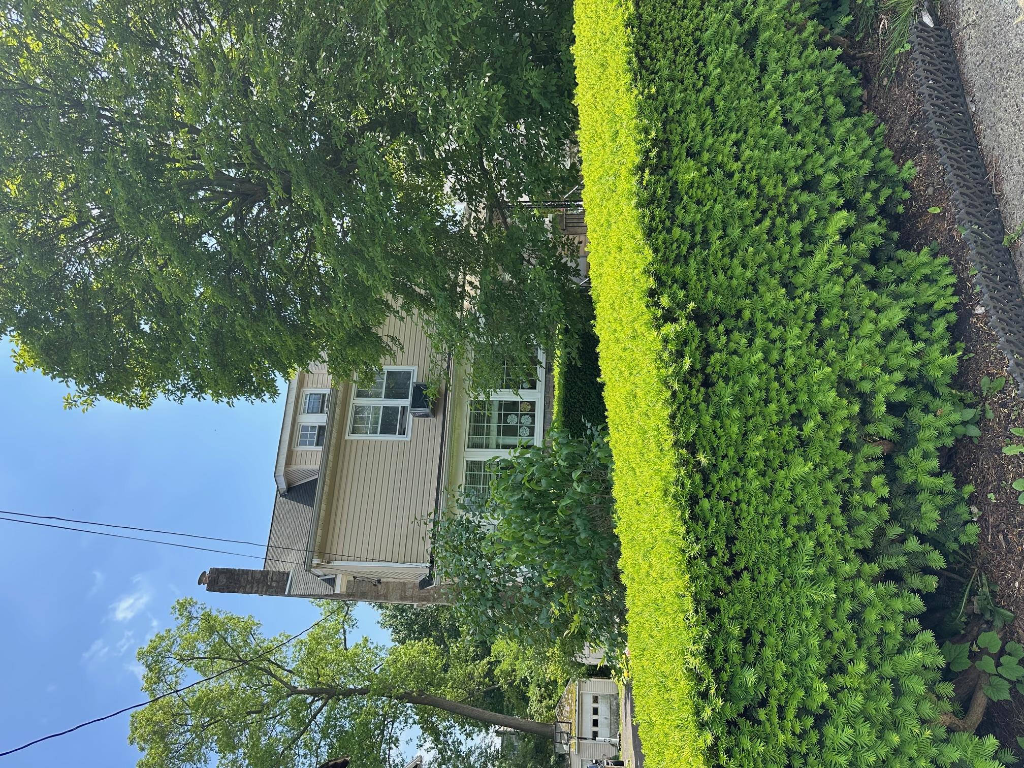 12 Ferdinand Place, New Rochelle, New York image 10
