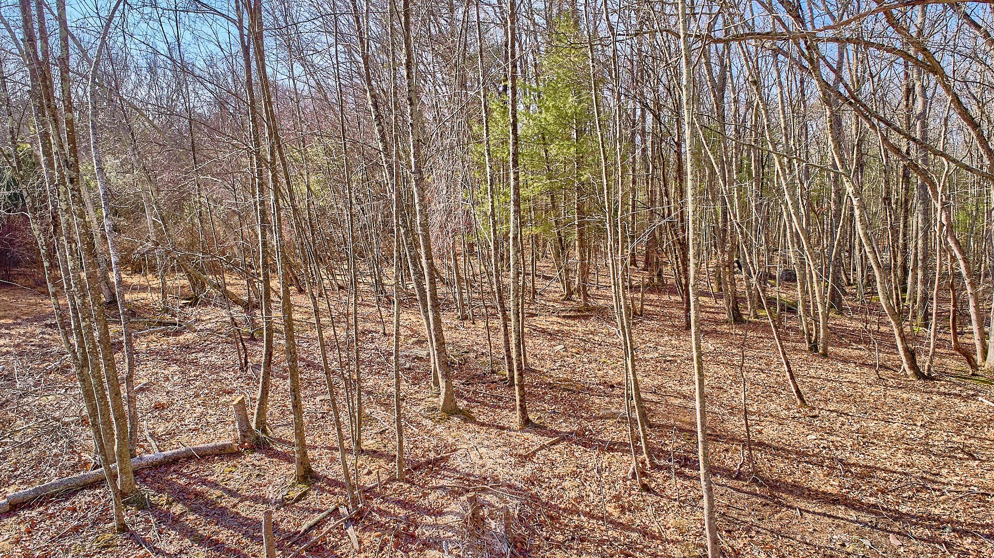 Lot 1 W Zane Grey Way Drive, Highland, New York image 10