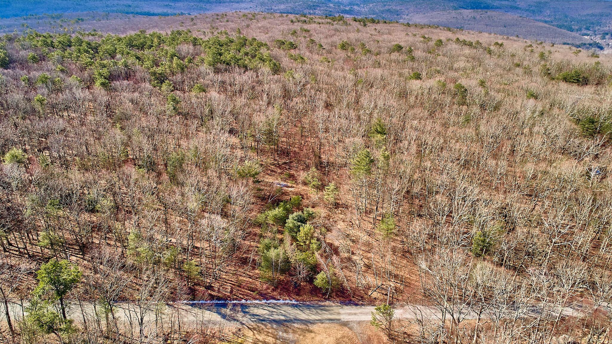 Lot 1 W Zane Grey Way Drive, Highland, New York image 4