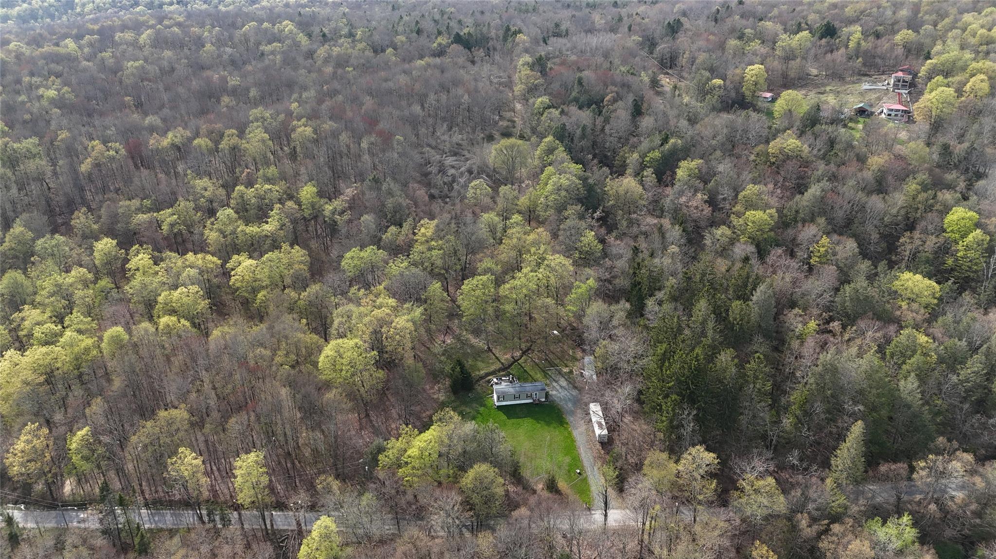 628 Lenape Lake Road, Livingston Manor, New York image 21