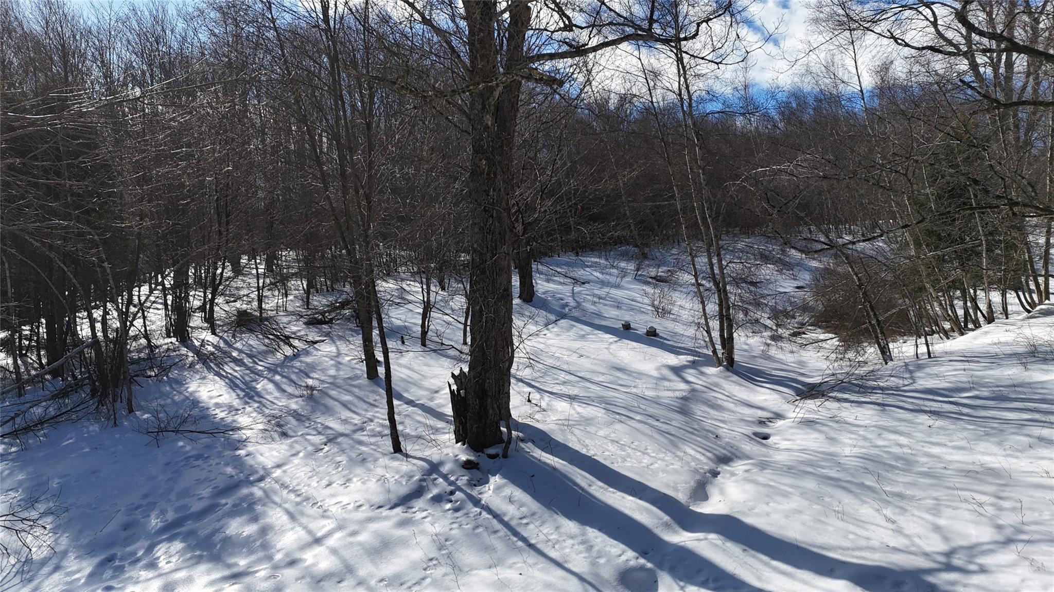 628 Lenape Lake Road, Livingston Manor, New York image 20