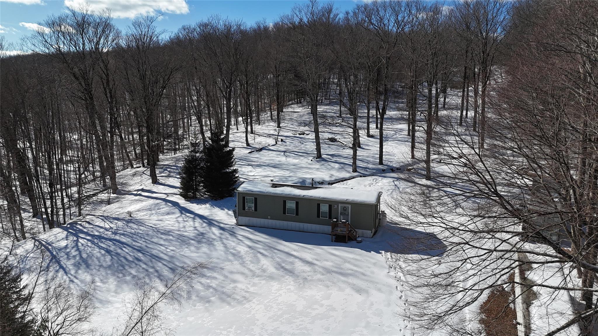 628 Lenape Lake Road, Livingston Manor, New York image 2