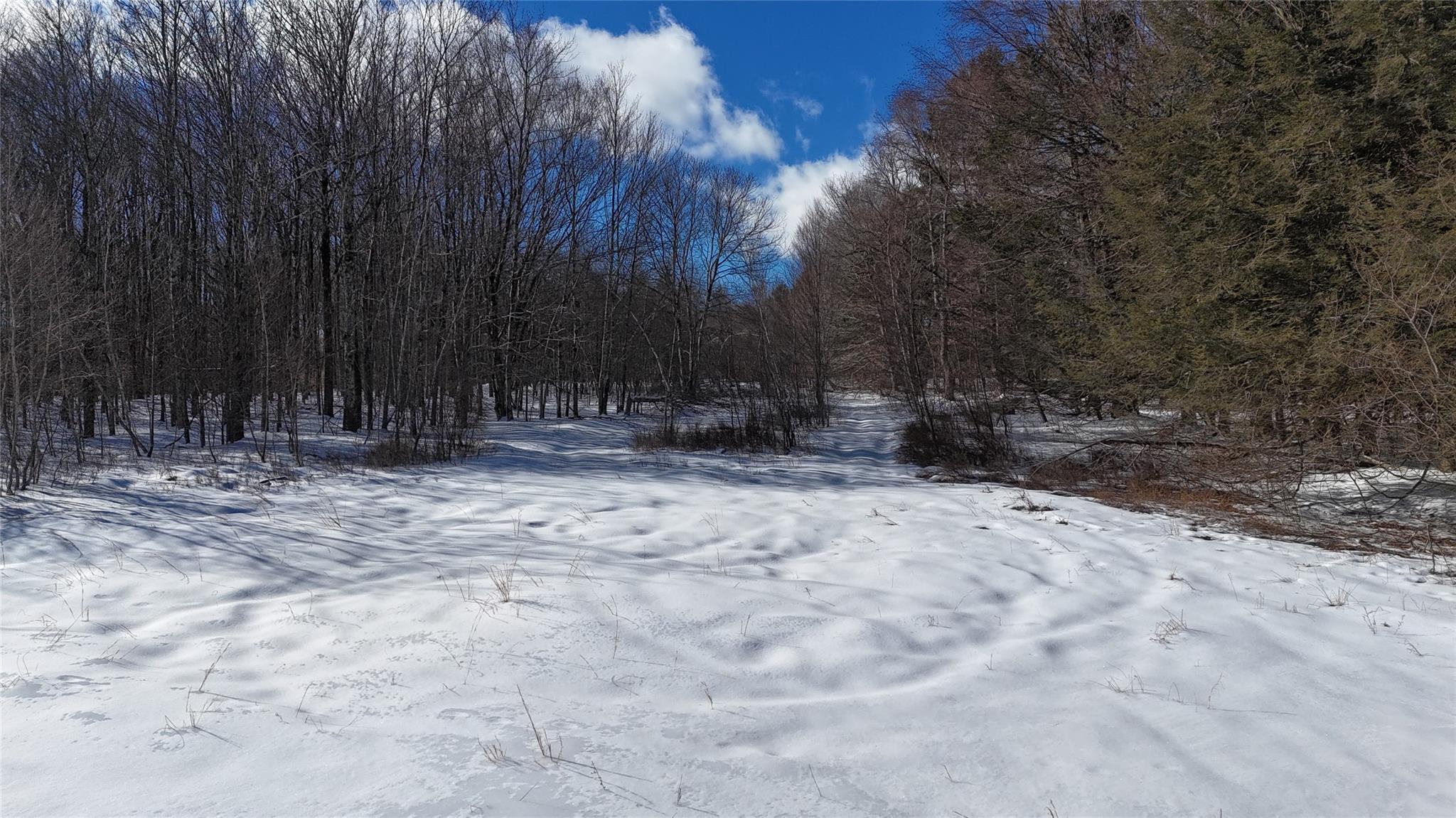 628 Lenape Lake Road, Livingston Manor, New York image 10