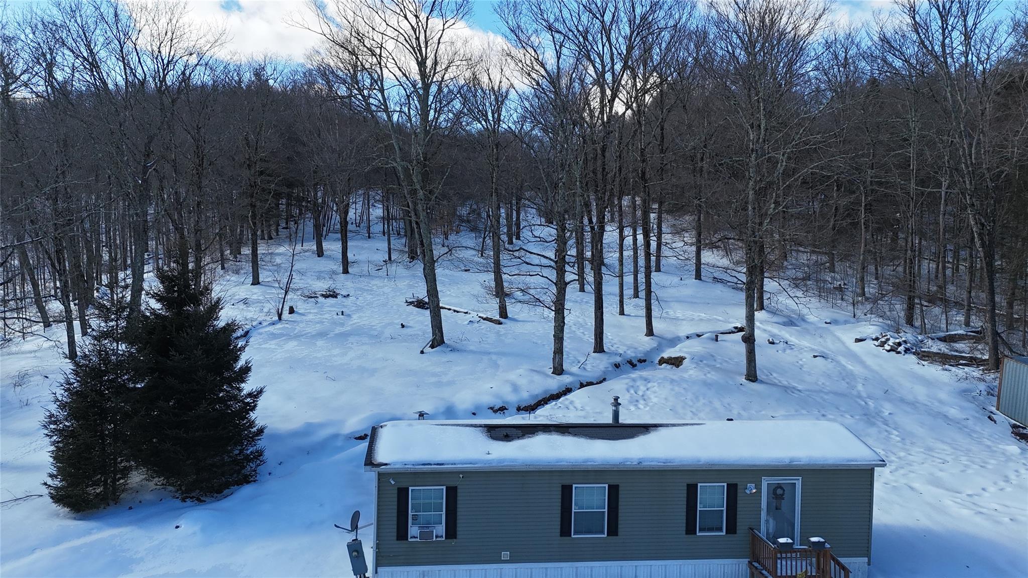 628 Lenape Lake Road, Livingston Manor, New York image 4