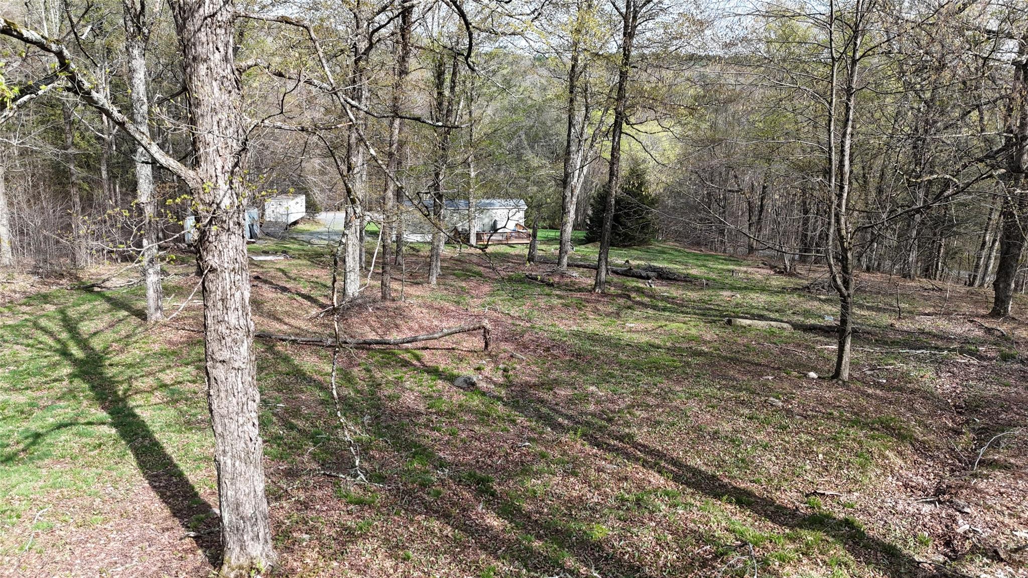 628 Lenape Lake Road, Livingston Manor, New York image 16
