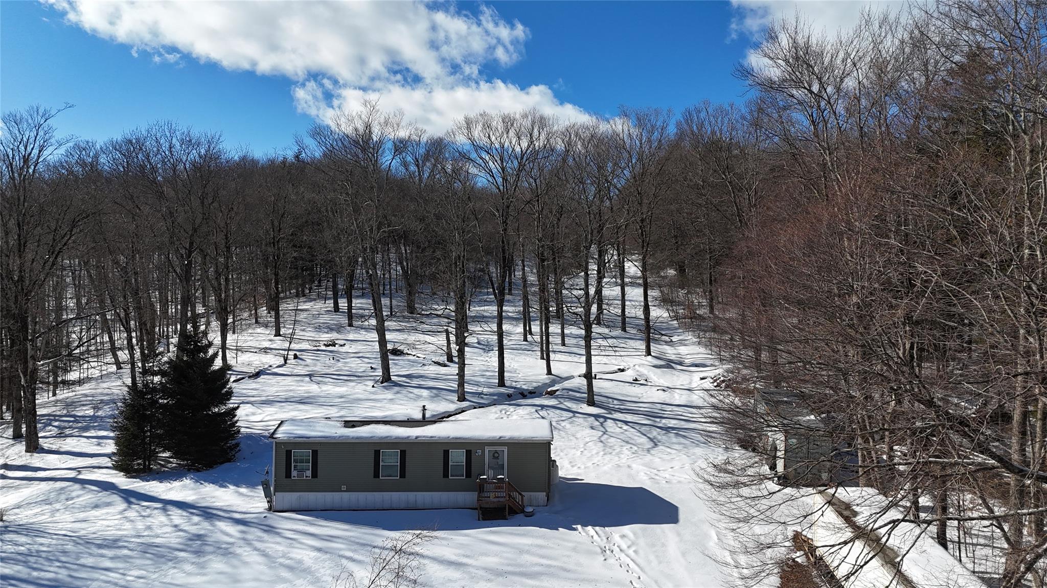 628 Lenape Lake Road, Livingston Manor, New York image 1