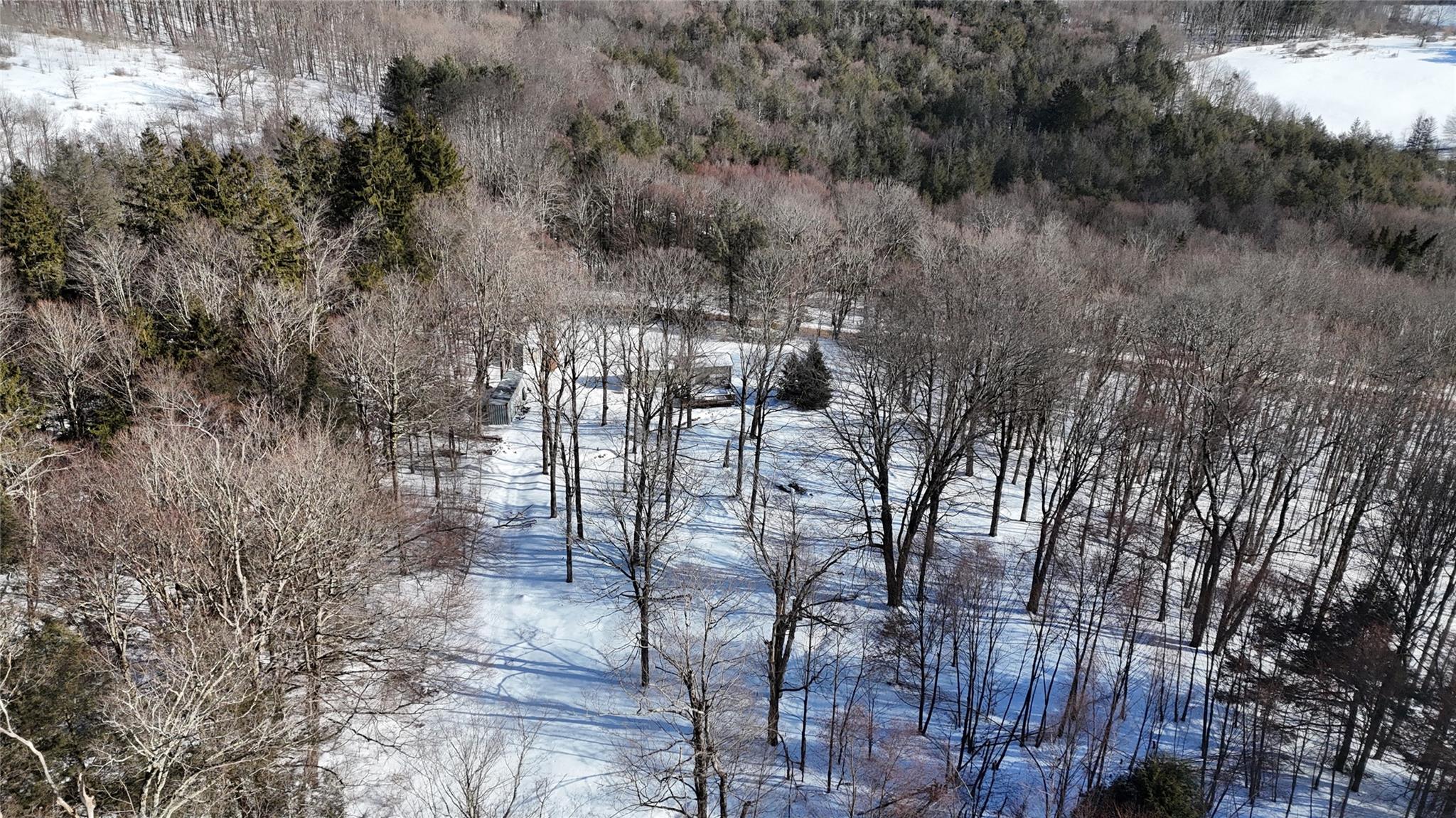 628 Lenape Lake Road, Livingston Manor, New York image 11
