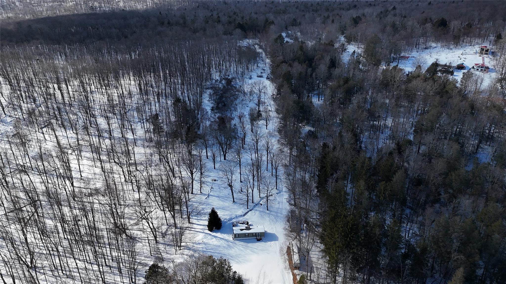 628 Lenape Lake Road, Livingston Manor, New York image 3