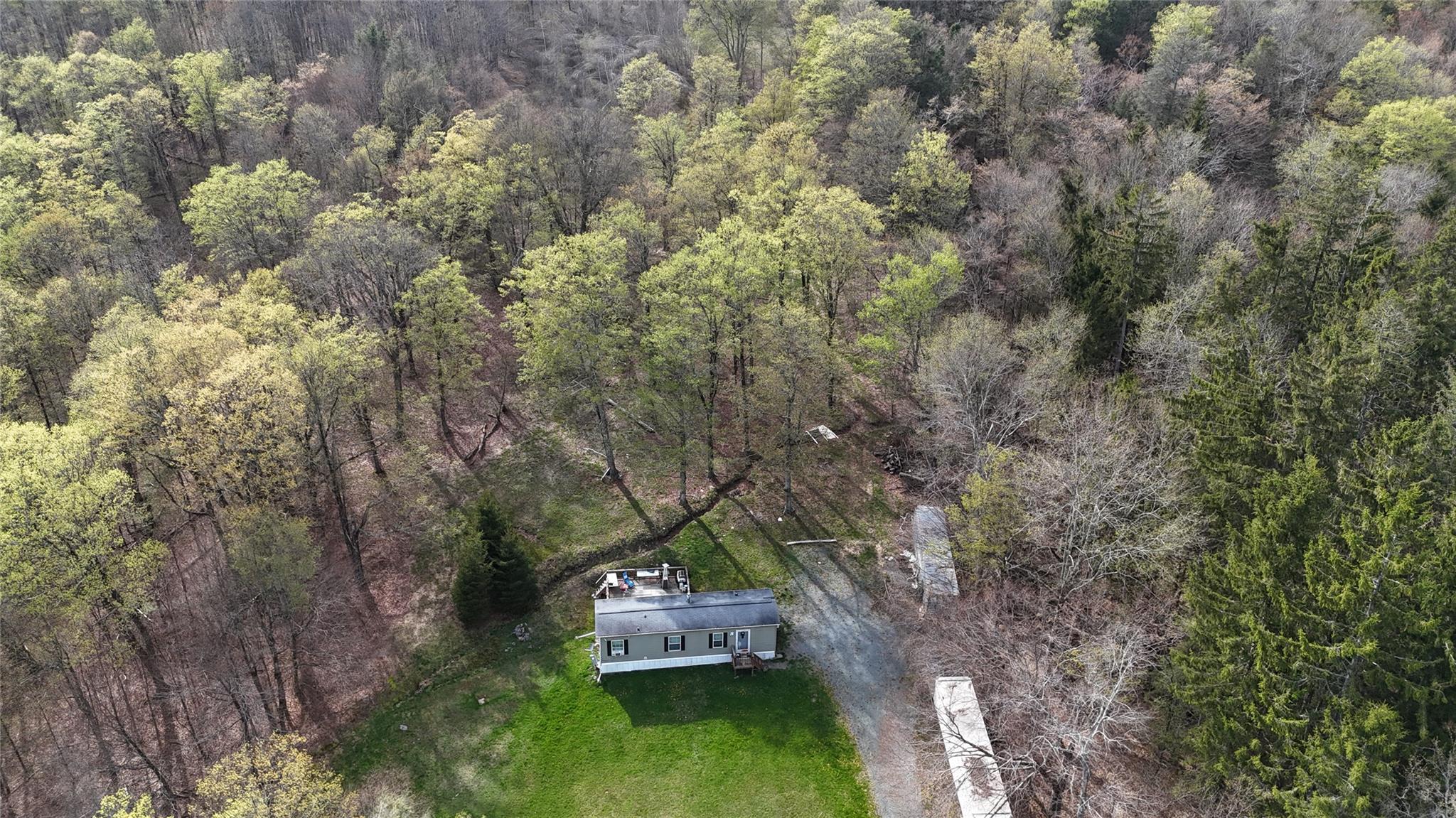 628 Lenape Lake Road, Livingston Manor, New York image 4