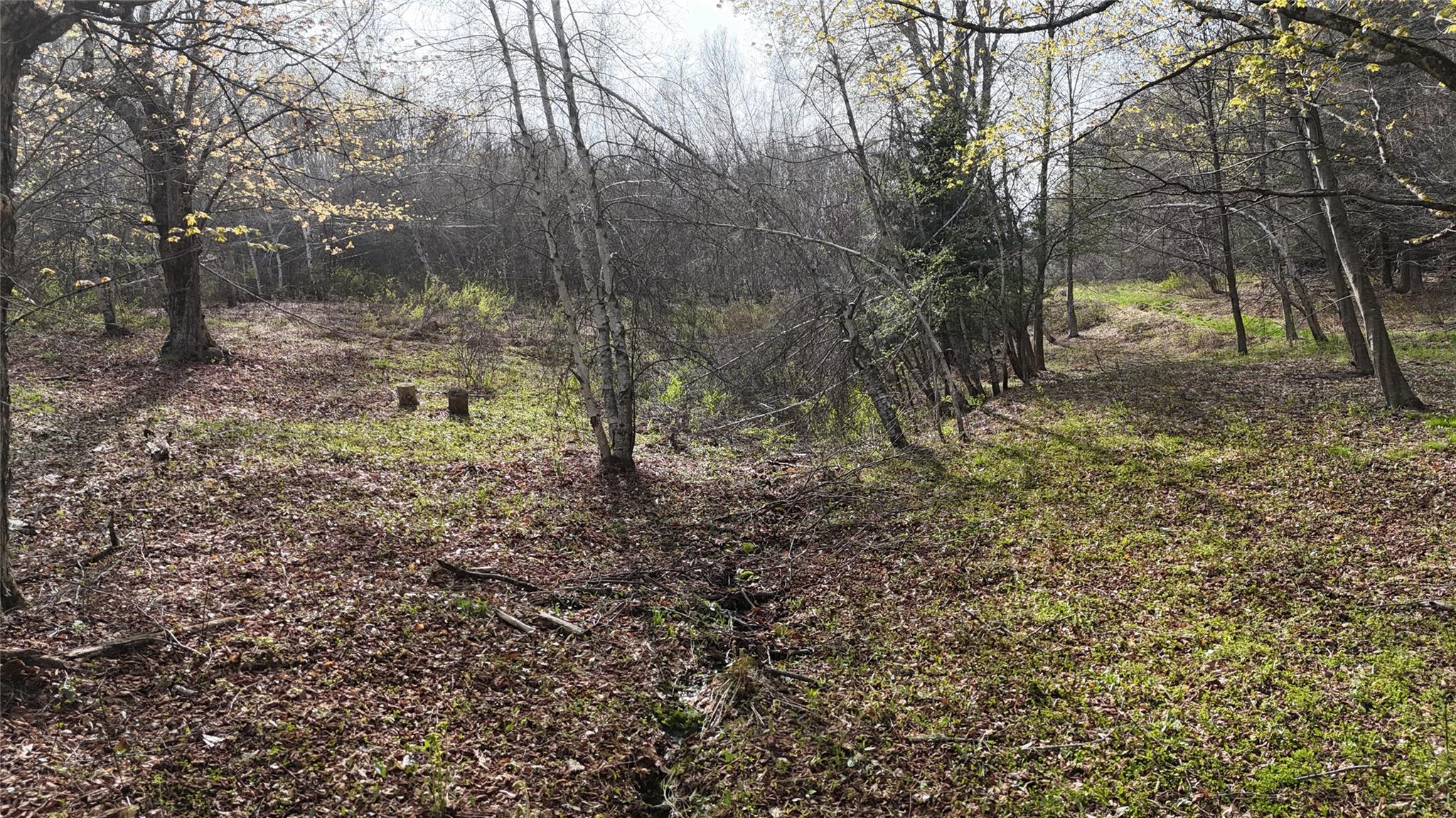 628 Lenape Lake Road, Livingston Manor, New York image 17