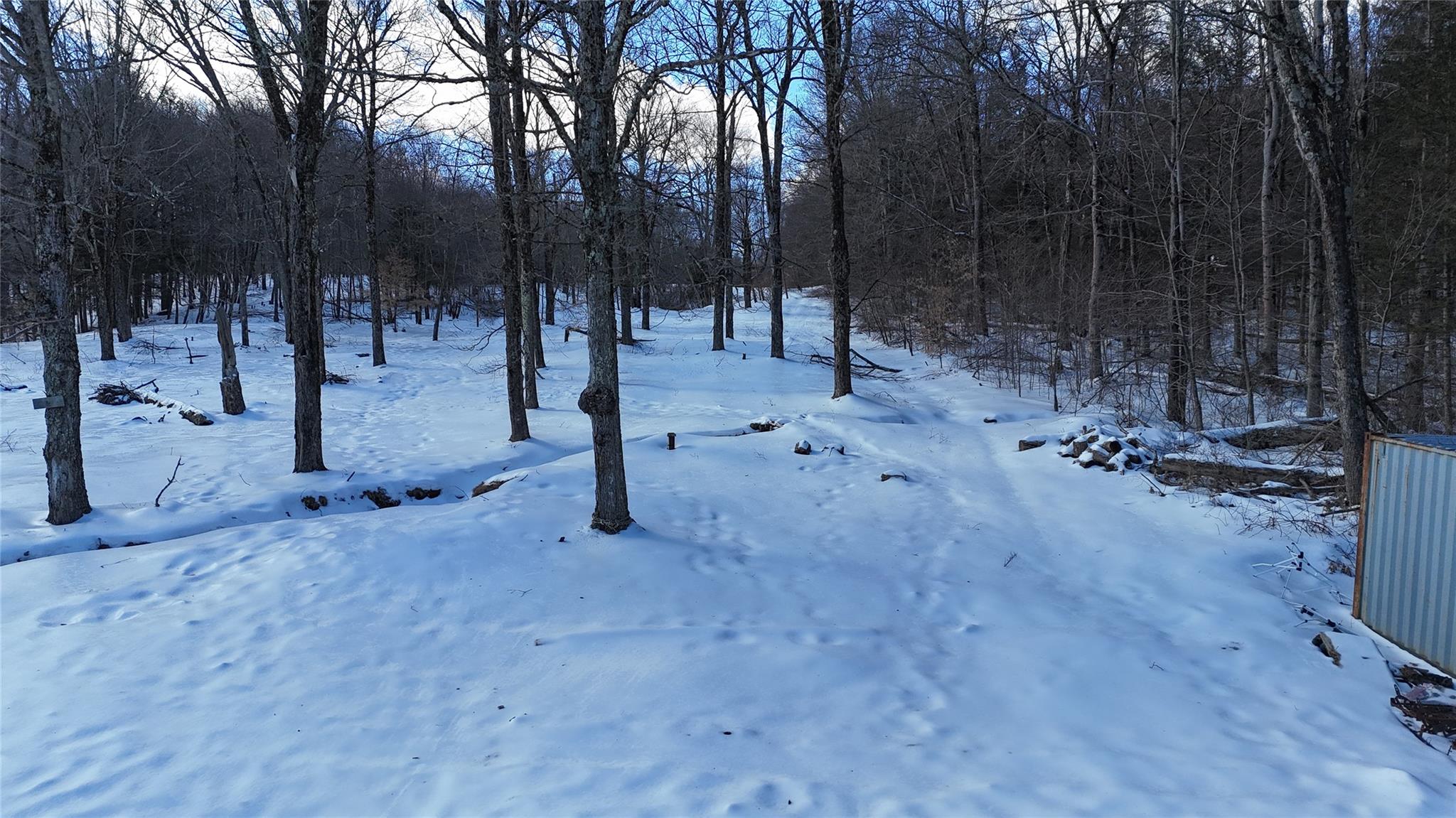 628 Lenape Lake Road, Livingston Manor, New York image 6