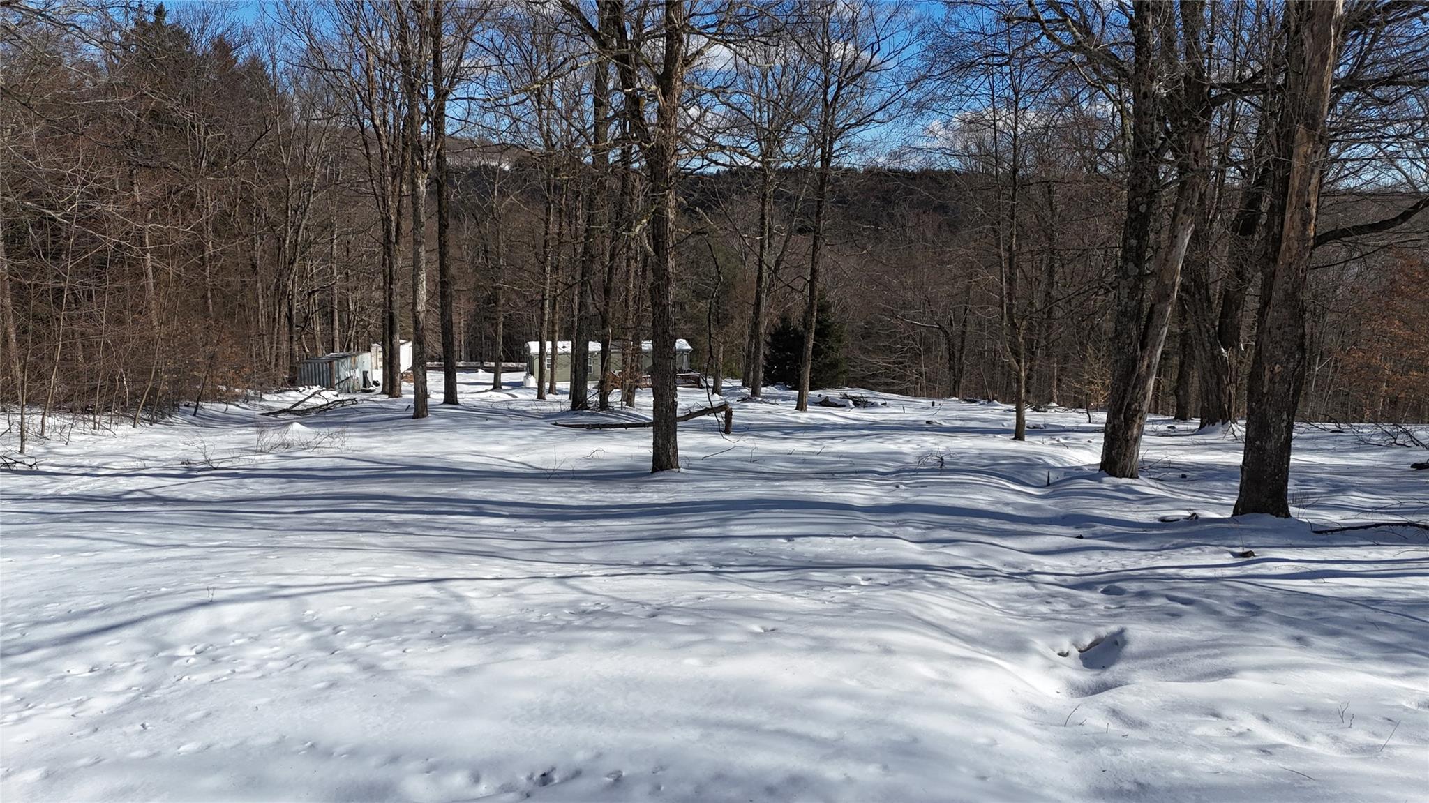 628 Lenape Lake Road, Livingston Manor, New York image 8