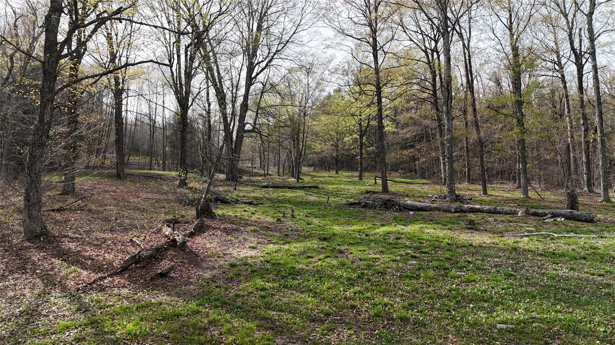 628 Lenape Lake Road, Livingston Manor, New York image 15