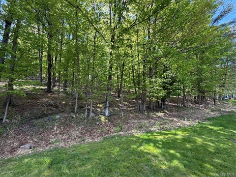 Vacant Land For Sale - Westwood Avenue<br/> Ellenville, NY 12428