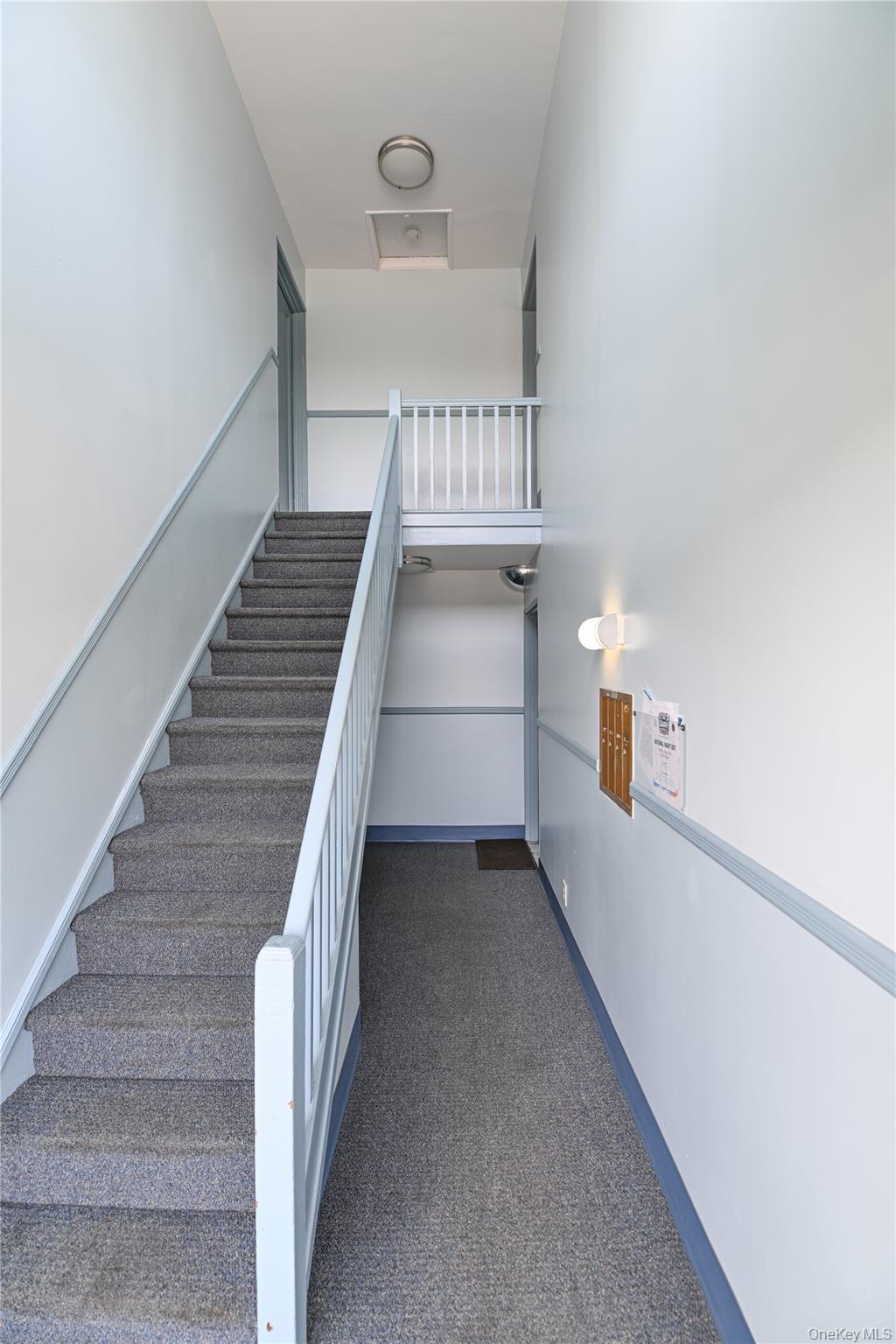 8 Stokes Road 2B